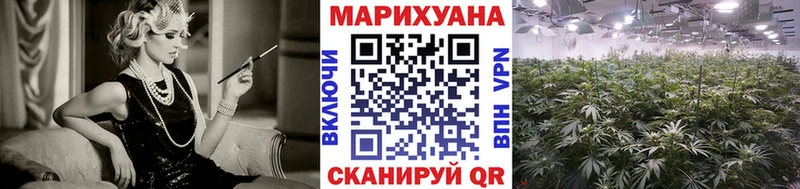 купить   Шатура  мега зеркало  Конопля семена 